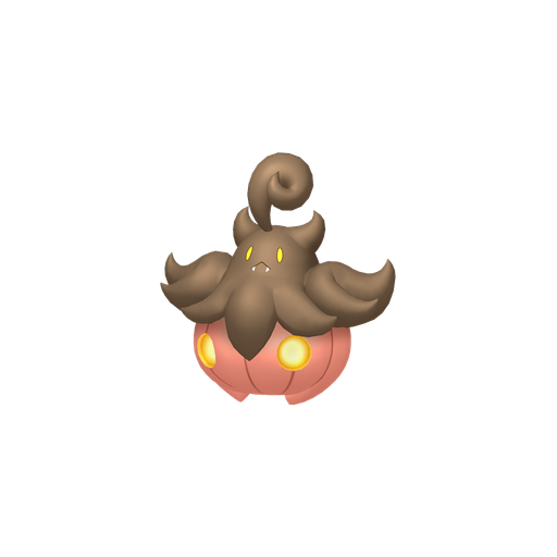 Large Pumpkaboo