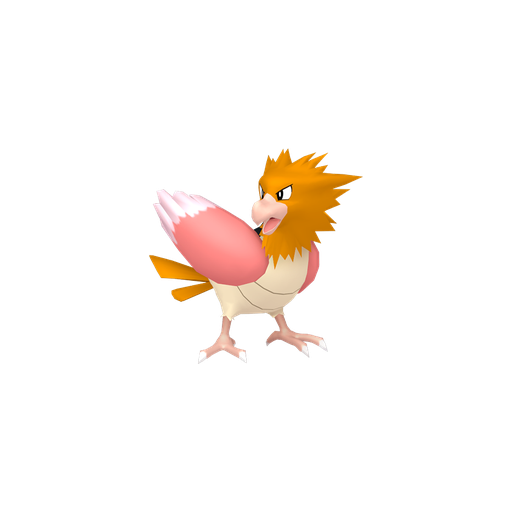 Spearow