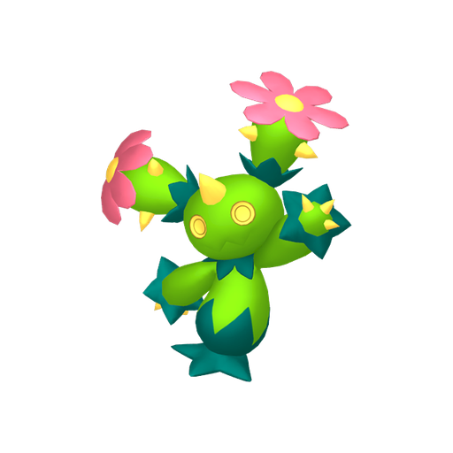 Maractus
