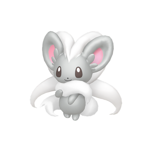 Cinccino