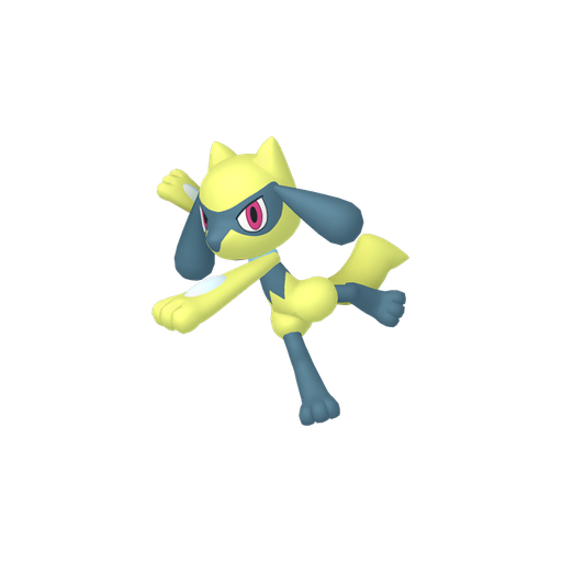 Shiny