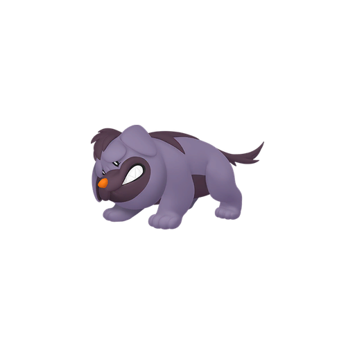 Shiny