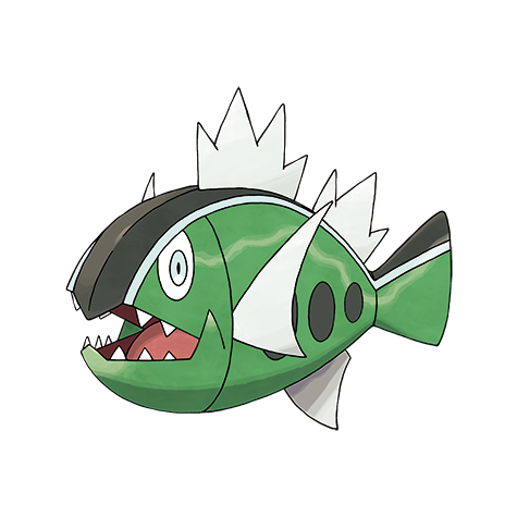 White Striped Basculin