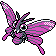Venomoth