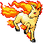 Rapidash