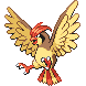 Pidgeotto