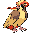 Pidgeot