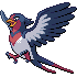 Swellow