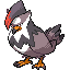 Staraptor