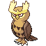 Noctowl