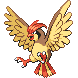 Pidgeotto
