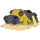 Hippowdon