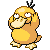 Psyduck