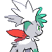 Back Shiny