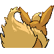 Back Shiny