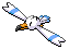 Wingull