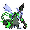 Back Shiny