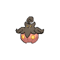 Large Pumpkaboo