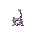 Rattata