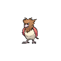 Spearow