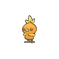Torchic