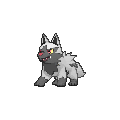Poochyena