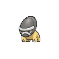 Shieldon
