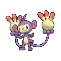 Ambipom
