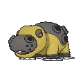 Hippowdon