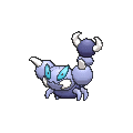 Skorupi