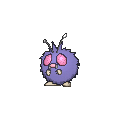 Venonat