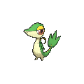 Snivy