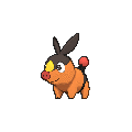 Tepig