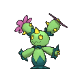 Maractus
