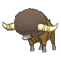 Bouffalant