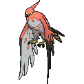 Talonflame
