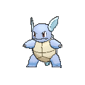 Wartortle