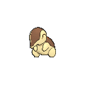 Shiny