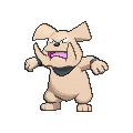 Shiny
