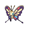 Shiny