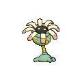 Shiny