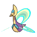 Shiny