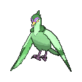 Shiny