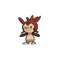 Shiny