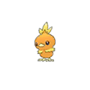 Torchic