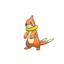 Buizel