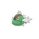 Red Striped Basculin