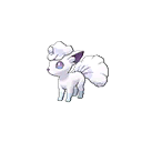 Shiny
