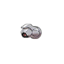 Shiny