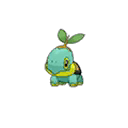 Shiny